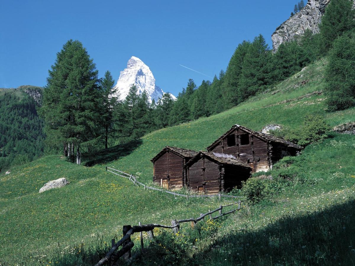Apartment Select By Interhome Zermatt Eksteriør billede